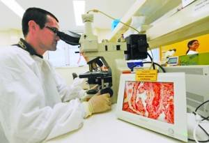 超级细菌几乎可抵御所有抗生素 10年内无药可治