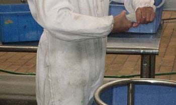 黑新闻：网友发图曝蒙牛车间卫生脏乱