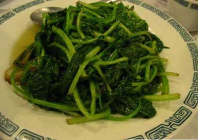 研究显示多吃菠菜助白领防眼睛衰老