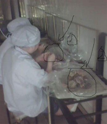 黑新闻：东莞立洲月饼被前员工投诉生产环境恶劣