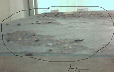 黑新闻：东莞立洲月饼被前员工投诉生产环境恶劣