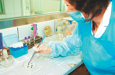 新型病毒或为蜱虫致病元凶 该病可防可控病死率低