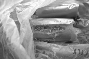 黑新闻:双汇牌火腿肠吃出一群蛆 好恶心!