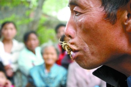 河南男子生吃蝎子上瘾 30多年生吃活蝎上万只(图)