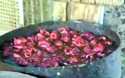 黑新闻：山东黑心作坊用鸡屁股炼食用油 含致癌物