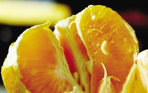 黑新闻：带蛆柑橘流入多地 农业部重视测控