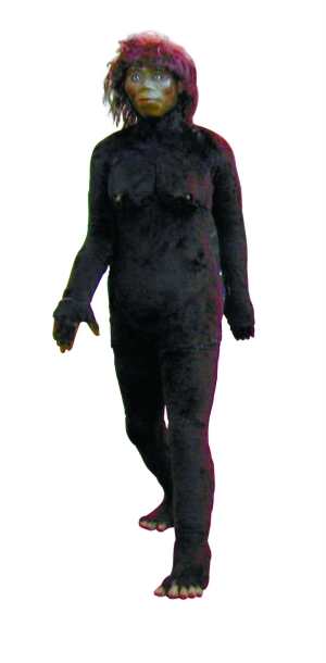 神农架科考专家称有八成把握揭秘野人