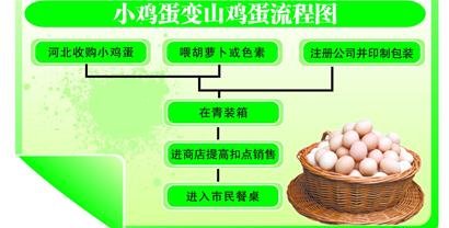 黑新闻：山鸡蛋产业黑幕曝光 添加色素毒性惊人(图)