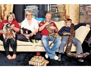 英国一家养35种80只异兽 被称“野兽家庭”(图)