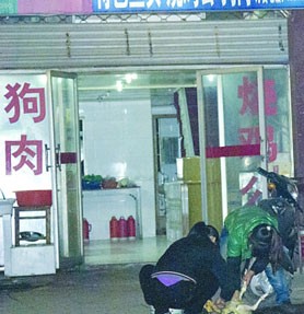 江苏饭桌上狗肉多为毒死 偷狗已形成产业链(图)