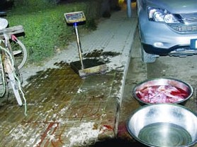 江苏饭桌上狗肉多为毒死 偷狗已形成产业链(图)