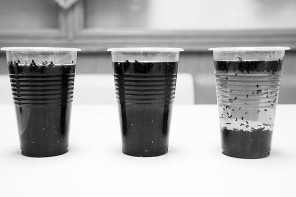 市民疑卖到染色黑芝麻 清洗6遍水仍是黑色