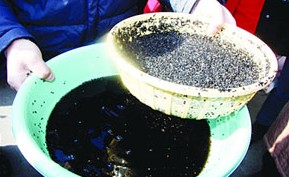 黑芝麻洗出黑水疑被染色 淘洗水好似酱油(图)