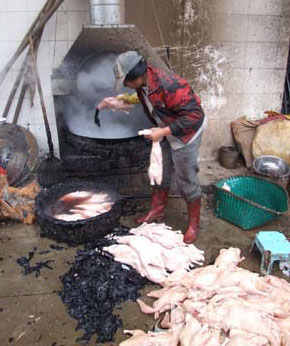 湖南株洲商户用松香拔鸡鸭毛“松香鸭”食用致癌(图)