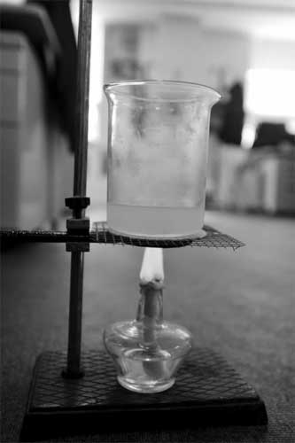 市场核桃被化学原料漂白 专家称没听过白皮核桃