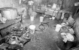 曝黑窝点提炼牛油加工牛杂 牛头毛发下锅(图)