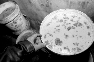 曝黑窝点提炼牛油加工牛杂 牛头毛发下锅(图)