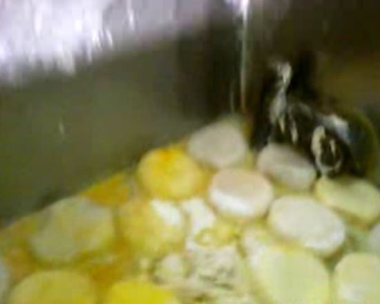 央视曝上海华联等超市多年销售染色馒头(组图)