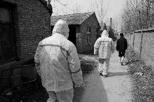 瘦肉精地下产业链曝光 销售一公斤可获利万元