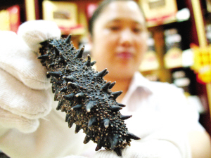 糖干海参明令禁止后仍有售 市场份额将增100亿