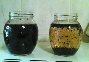 黑芝麻浸泡后水质成“墨汁” 疑被染色