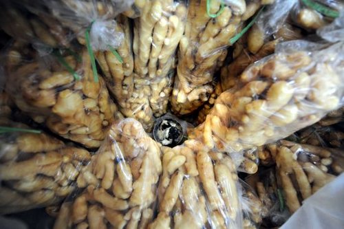 湖北宜昌查获1000公斤硫磺熏制毒生姜(图)