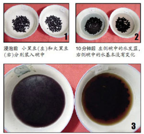 北京市民买黑豆疑被染色 泡豆水像墨汁