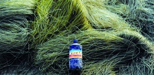 中山黑作坊玉米淀粉加墨汁和石蜡制红薯粉条