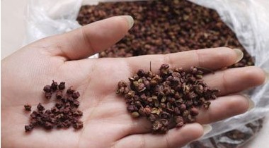 河北石家庄两家调味品店掺假花椒被查扣