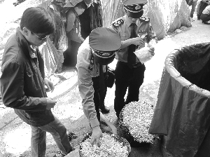 苏州查获4000斤“药水豆芽” 或用尿素泡制