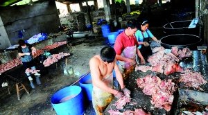 黑作坊使用松香加工猪头肉 厂房遍布苍蝇(图)