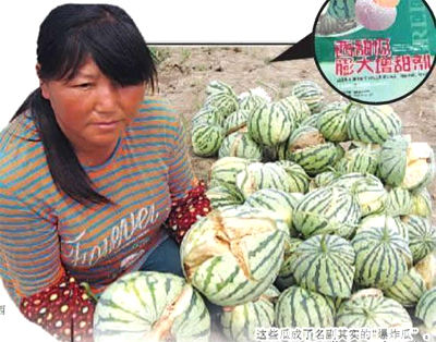 遍地西瓜爆炸 再显中国“添加剂”之神奇
