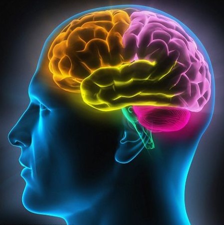 科学家研发读心机破解脑电波