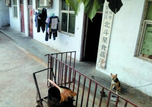 郑州现29家问题面制品厂家 被曝光后去向不明(图)