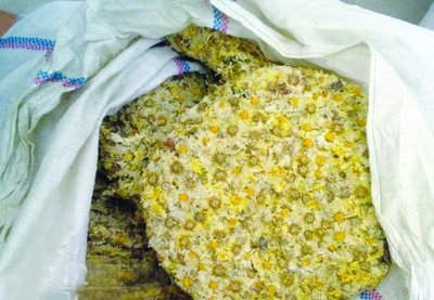 江苏射阳政府称200吨“毒菊花”数据严重失实(图)