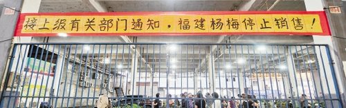 福建杨梅查出8种农药残留物 敌敌畏位列其中