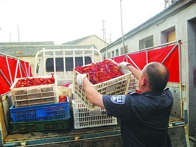 南京小作坊露天架锅熬煮死龙虾加工成虾仁