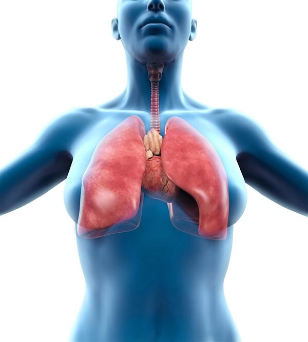 国产原研药消渴丸首次入选国家用药指南