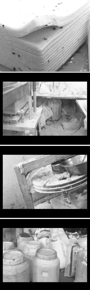 江苏盐城特产被爆都产自黑作坊