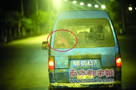 深圳黑猪肉私宰点日产万斤死猪肉 卖入寻常百姓家