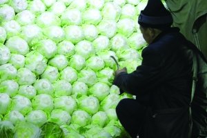 山东菜贩储运白菜喷甲醛保鲜 已成业内潜规则