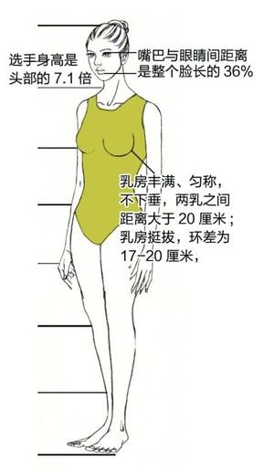 湖北十大校花评选量化标准 双乳间距20厘米