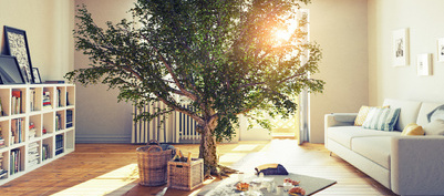 江口镇中心小学的25名儿童食用“黄金大米”。