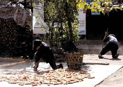 2012年11月20日，山石屏疗养院。康复的老人在晾晒玉米，他们不少人身体残疾，但他们坚持劳动自给自足