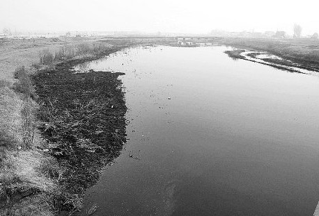 郑州索须河水遭污染变黑