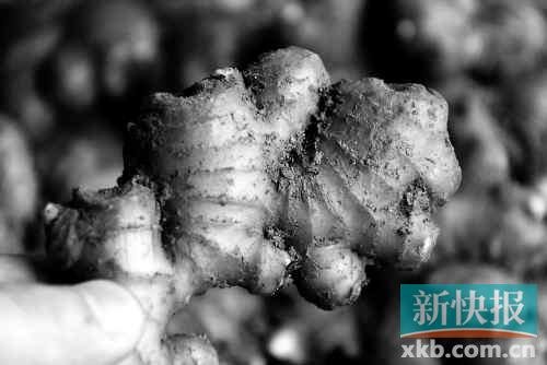 被检出的“山东毒姜”