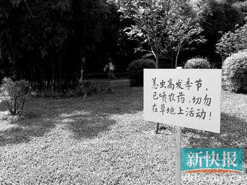 晓港公园的草地上设有预防恙虫病的告示牌