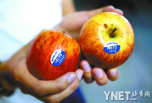 洋水果的标签并不代表是否喷过农药