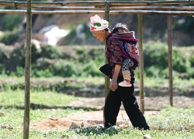 知情者称云南丘北幼儿中毒事件与幼儿园竞争有关